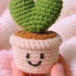 Love in a Pot